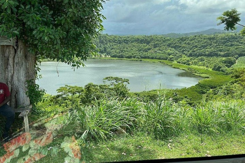 Full-Day Tour: Concord Waterfall, Chocolate Factory, Rum Distillery, Grand Etang 2