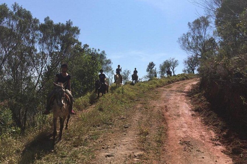 Exclusive Horseback Riding Experience in the mountains 4