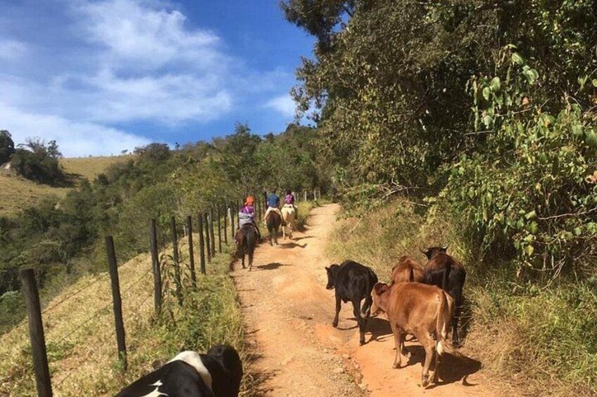 Exclusive Horseback Riding Experience in the mountains 5