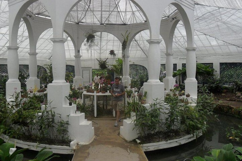 Rio Botanical Gardens by Luis Darin 3