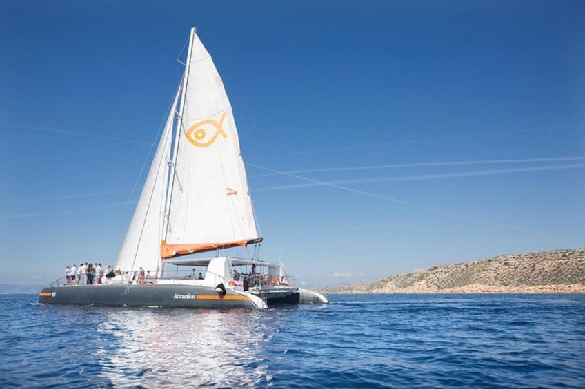 South option catamaran 3