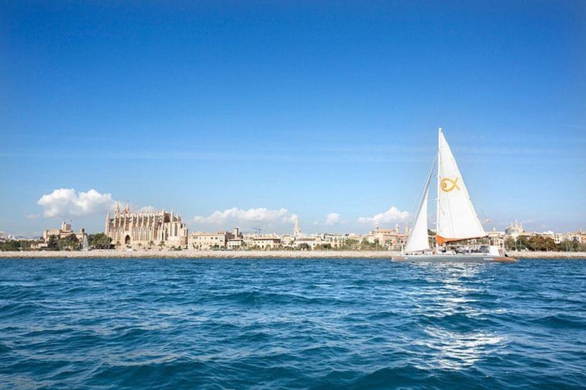 Mallorca Catamaran Cruise and Snorkeling Trip 2