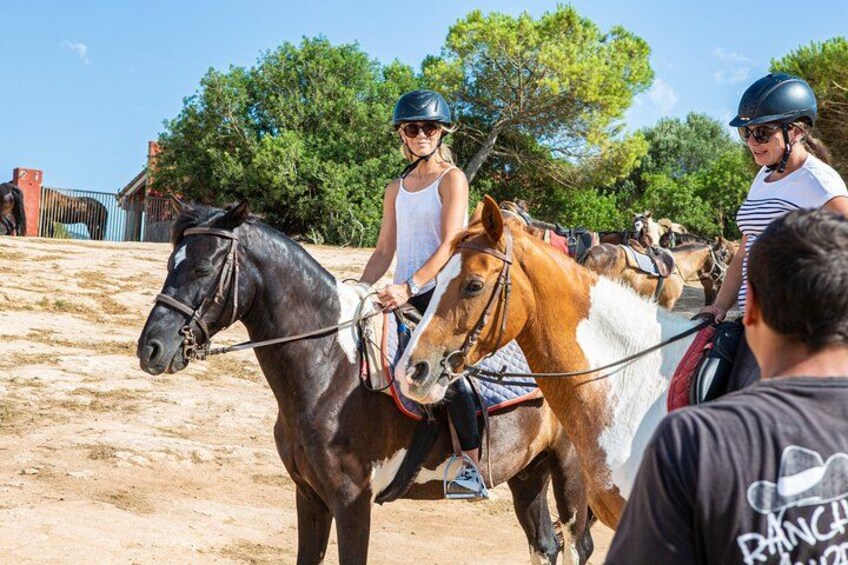 Mallorca Evening Tour: Horseback Riding, Dinner and Dance 3