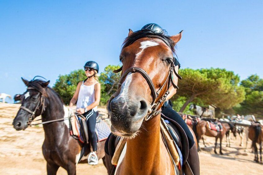 Mallorca Evening Tour: Horseback Riding, Dinner and Dance 2
