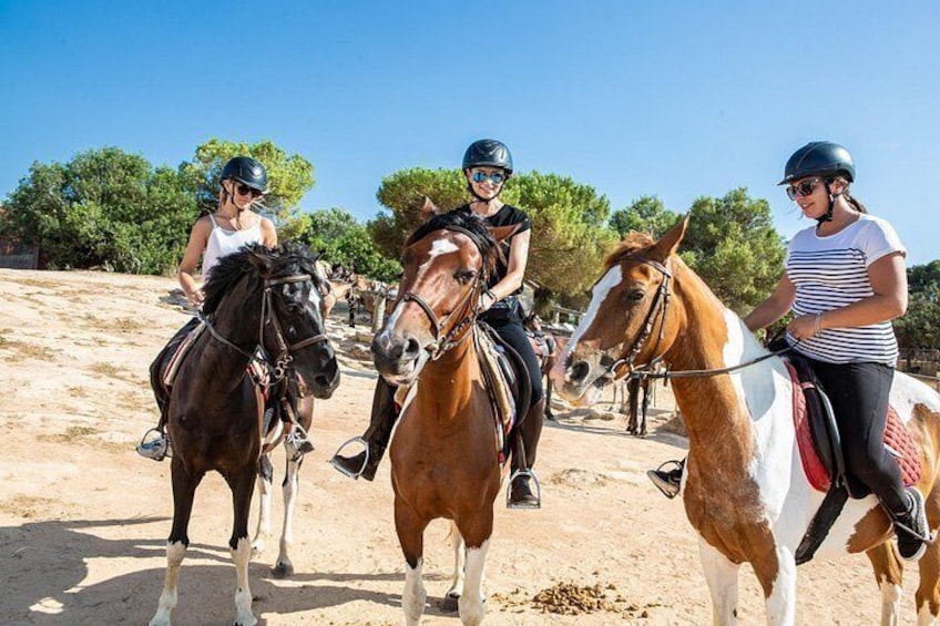 Mallorca Evening Tour: Horseback Riding, Dinner and Dance 5