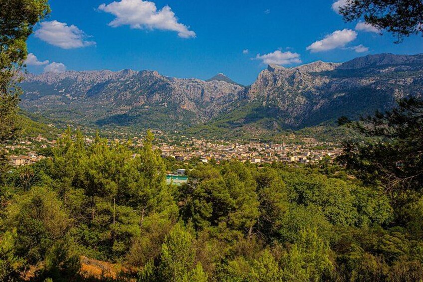 Mallorca in One Day Sightseeing Tour with Boat Ride and Vintage Train 2