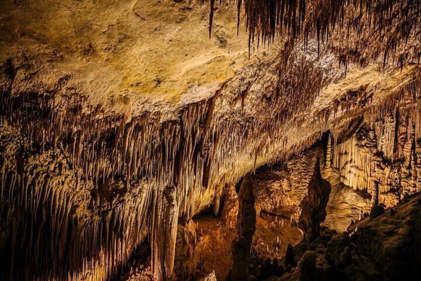 Caves of Drach Half-Day Tour with Boat Trip and Music Concert 2