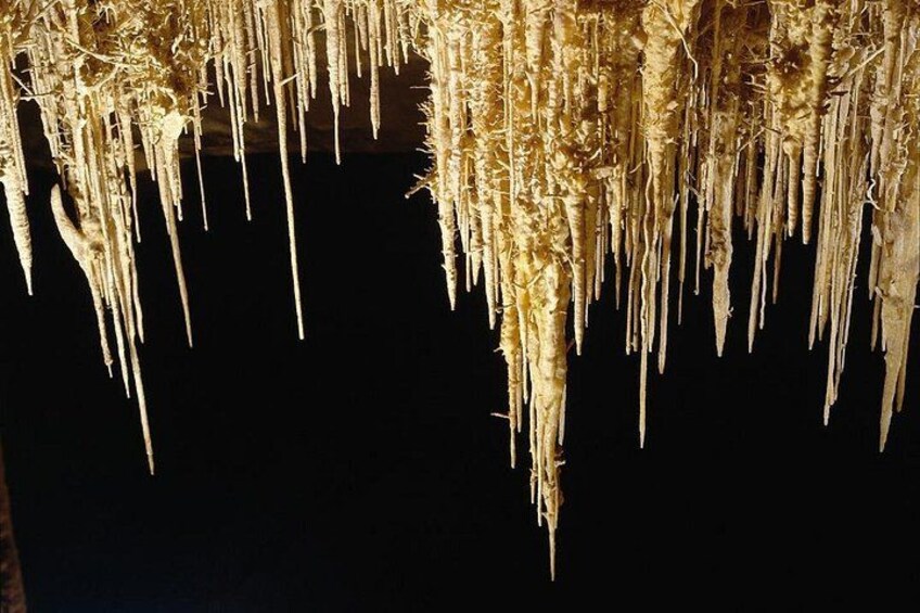 Explore Mallorca: Majorica Pearl Shop and Caves of Drach 5