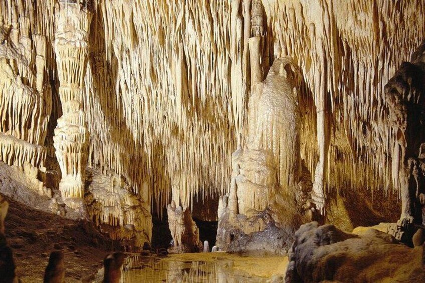 Explore Mallorca: Majorica Pearl Shop and Caves of Drach 4
