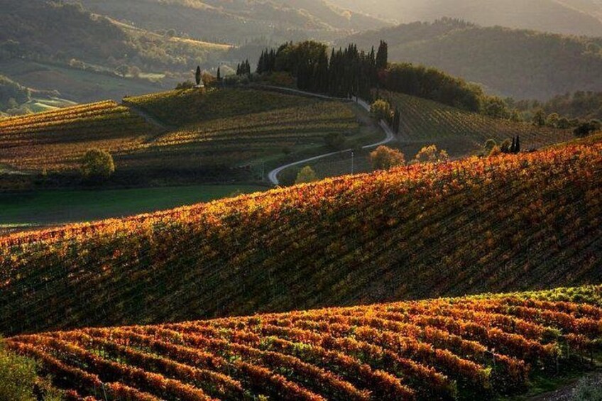 Guided Hike in Tuscany 2