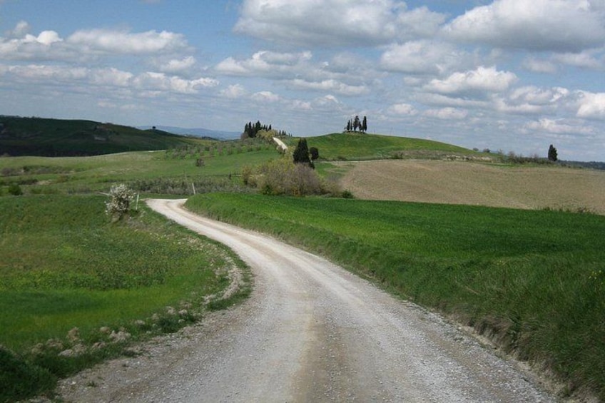 Tuscany Hiking Tour from Siena Including Wine Tasting 3