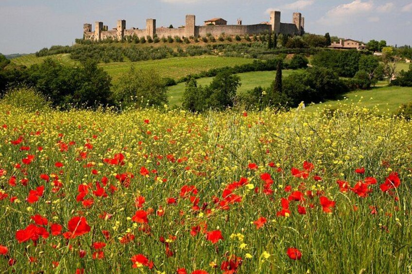 Monteriggioni fortress 4