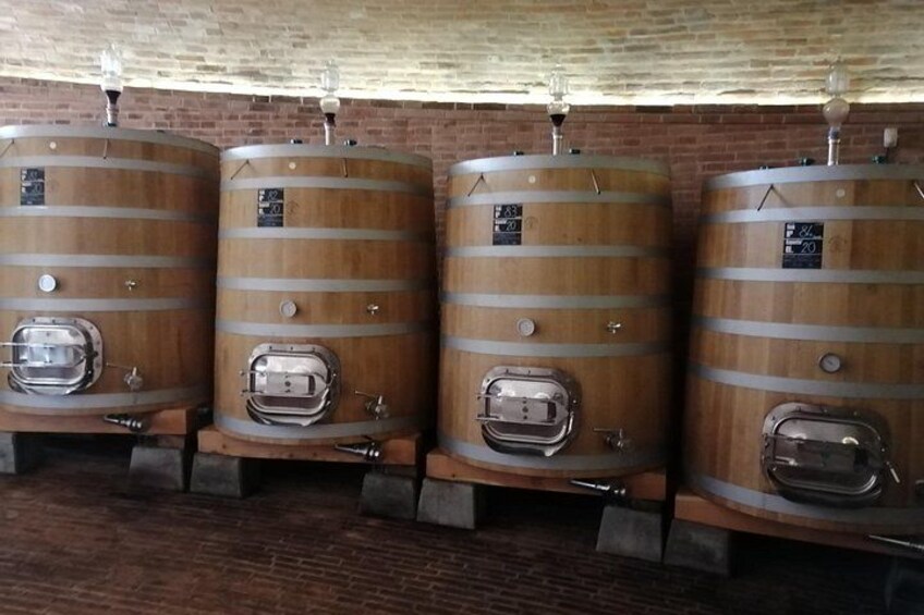 visiting a wine cellar 2