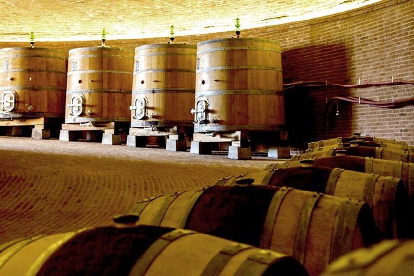 Cellar Tour 1