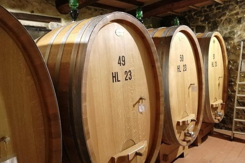 Brunello Wine barrels 2