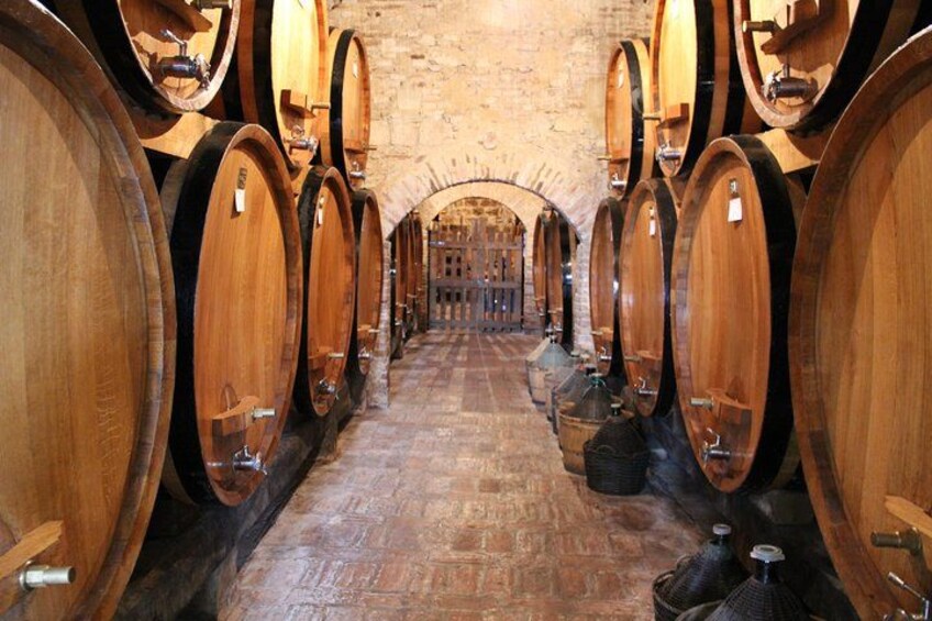 Montepulciano winery 2