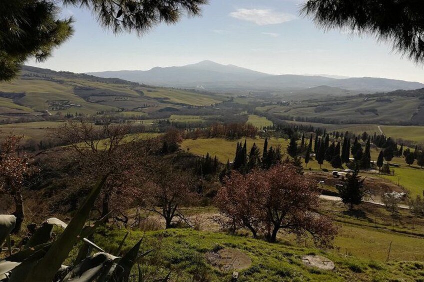 panoramic lunch view 2