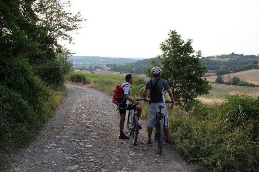 Small Group E-Bike Chianti Tour with farm lunch from Siena 1