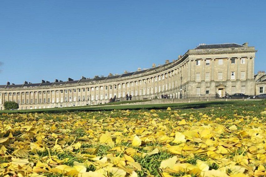 Ein längliches Gebäude mit einer gewölbten Fassade, umgeben von einem Feld gelber Blumen. 3