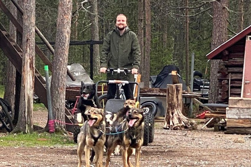 Una persona en bicicleta con tres perros en un área boscosa. 4