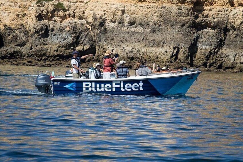 Boat Trip to Ponta da Piedade from Lagos 2