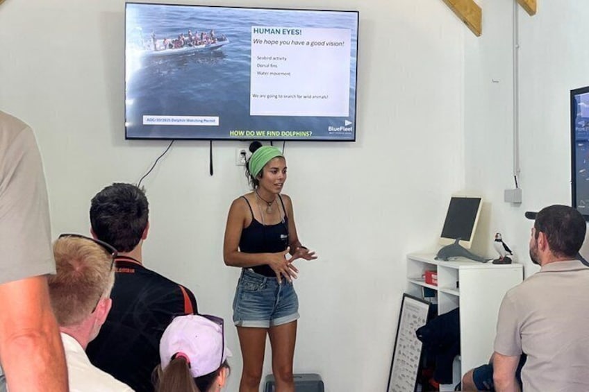 Biologist guided dolphin watching safari 4