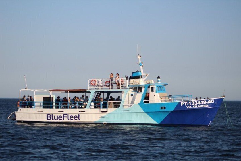 Classic Coast Experience Ponta da Piedade Boat Tour from Lagos 5