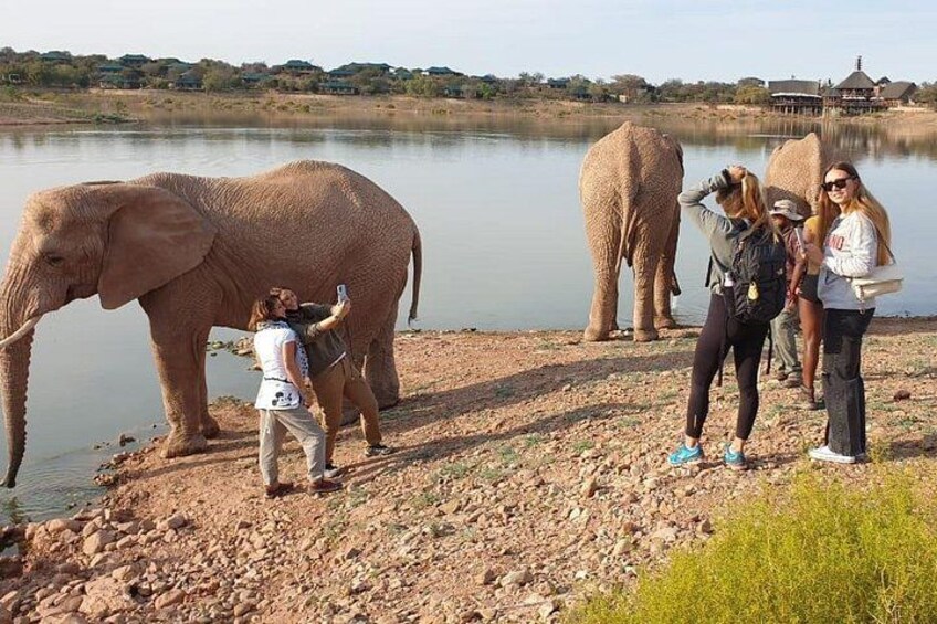 A group of people near a body of water with elephants. 2