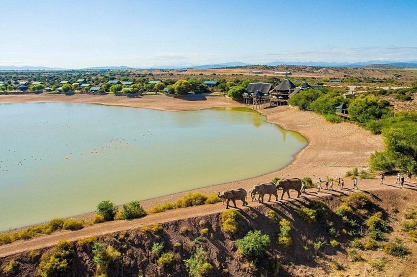 A lake with a dirt path, a few animals, and buildings in the background. 4