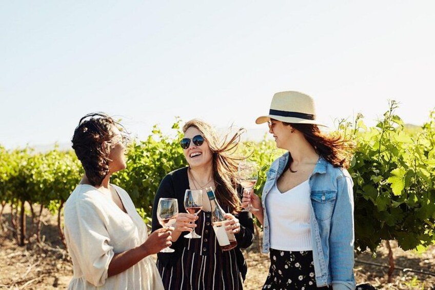 Taste + Tram the Winelands Tour: Franschhoek, Stellenbosch, Paarl 2