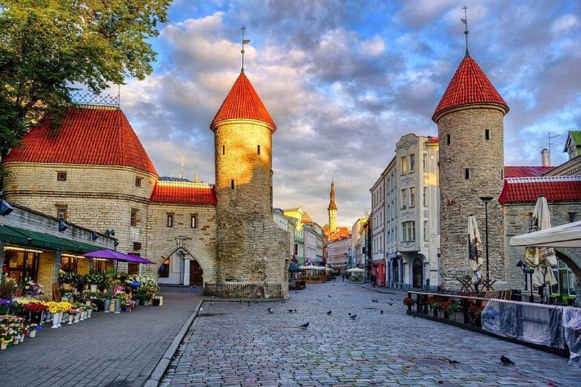 Tallinn Sightseeing Tour by Coach and Foot 5