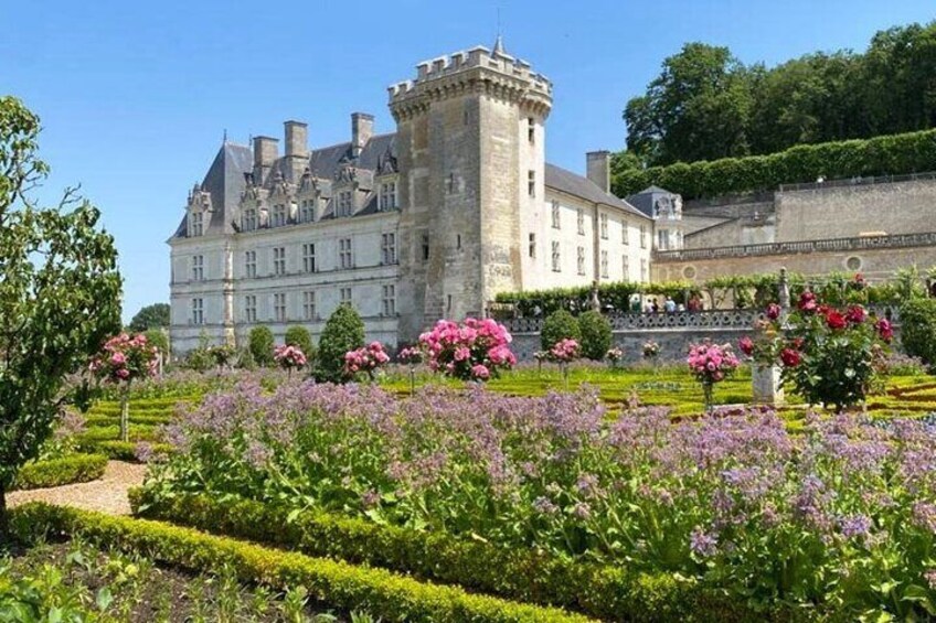 Loire Valley Day from Tours : Azay-le-Rideau, Villandry, Winery