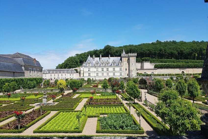 Loire Valley Day from Tours : Azay-le-Rideau, Villandry, Winery