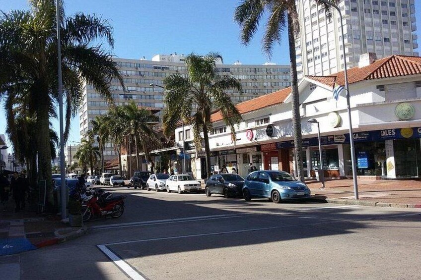 The Best Punta del Este Day Trip from Montevideo 3