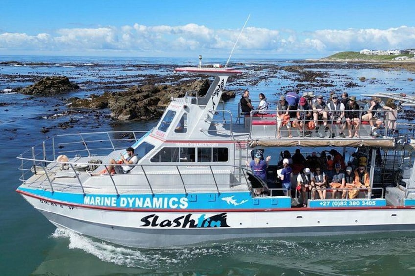 A boat named 'MARINE DYNAMICS' with the word 'Slash' on its side, moving through a rocky coastal area with people on board. 2