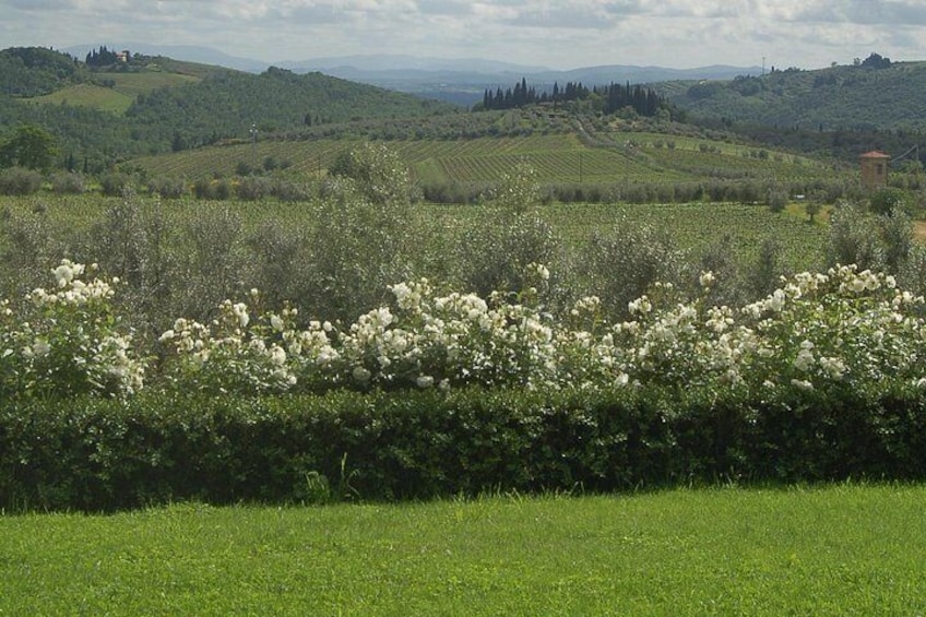 The Winery view 4