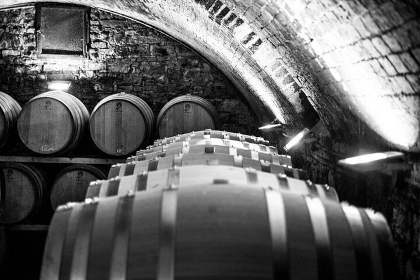 The wine cellar 2