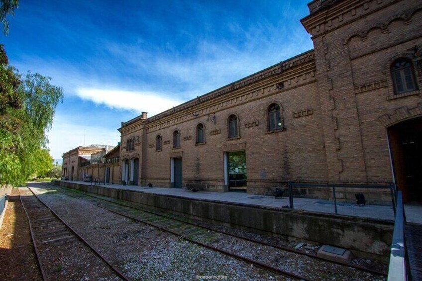 Maipú Wine-Tasting Tour from Mendoza Including Trapiche Winery