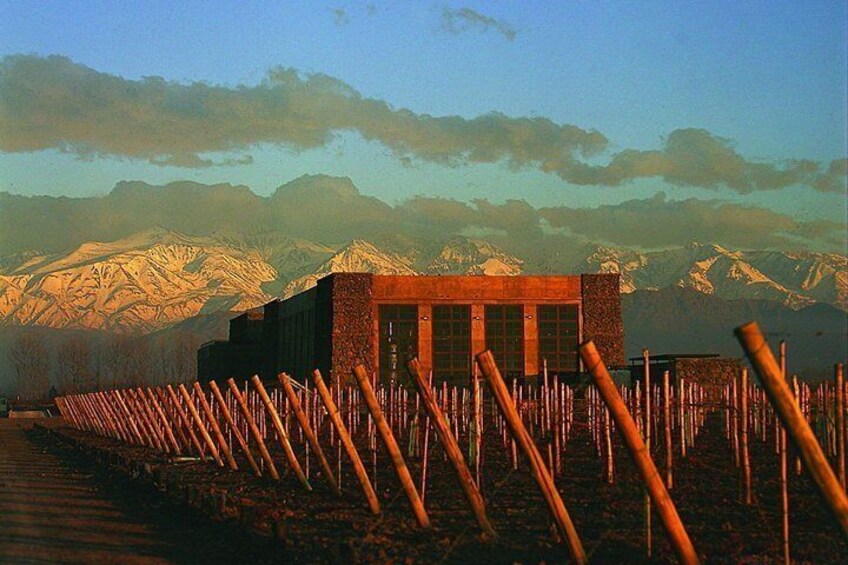 Uco Valley Luxury Wine Experience with Salentein 4
