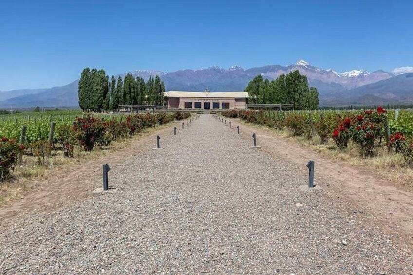 Bodega Salentein 4