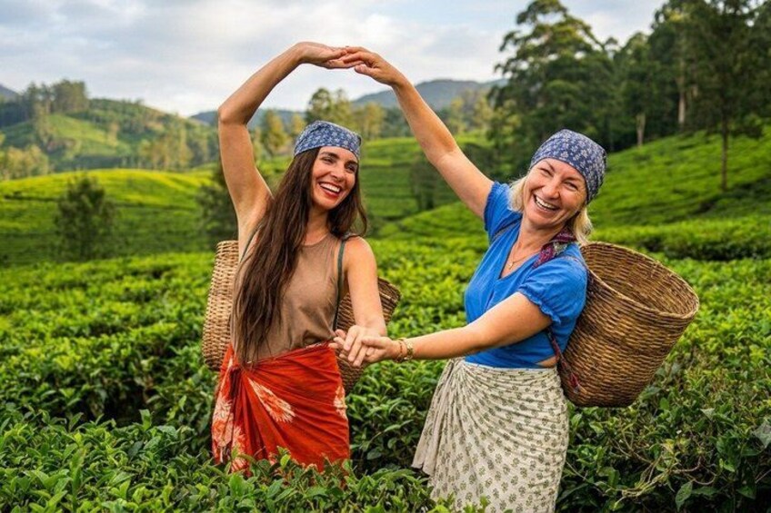 Nuwara Eliya Tea Plucking and Tasting Waterfalls Tours 2