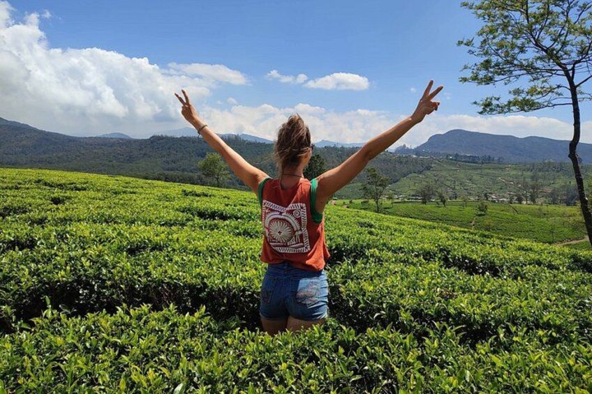 Nuwara Eliya Tea Plucking and Tasting Waterfalls Tours 4