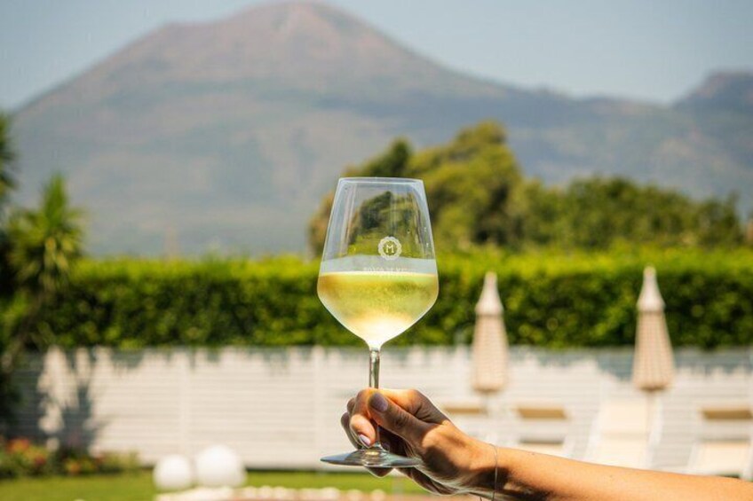 Pool & Wine Escape 3