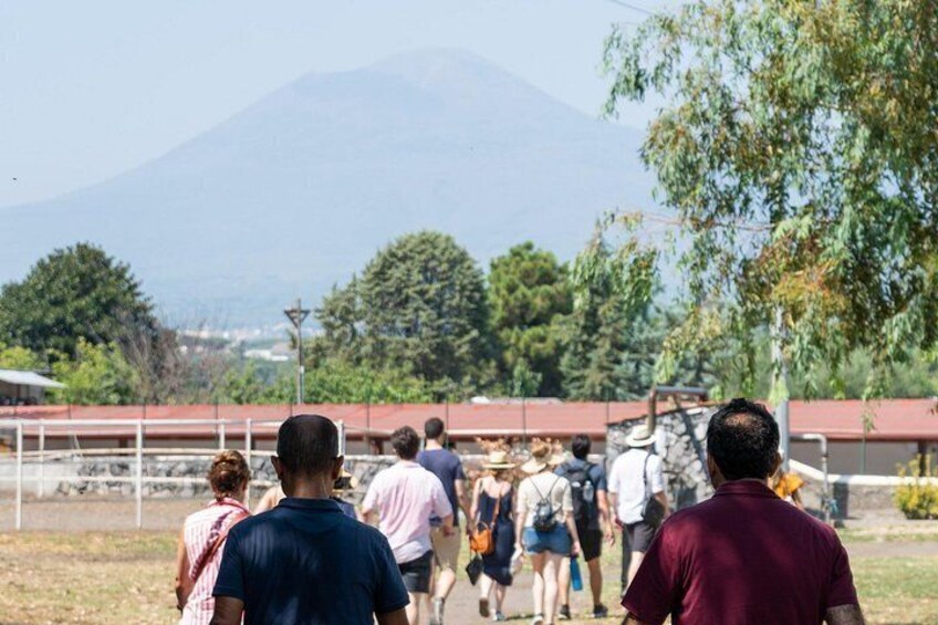 Pompeii Vineyard Escape: Private Wine Tasting & Lunch 5
