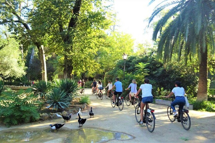 People riding bicycles on a path surrounded by trees and a pond with ducks. 4