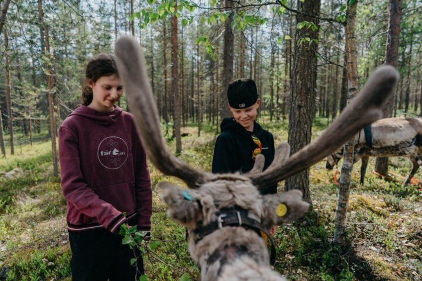 A forest with people and a reindeer. 3