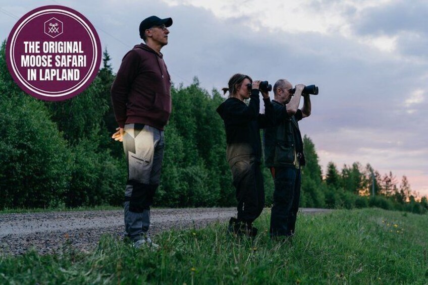 Moose Safari with Experienced Local Guide - Rovaniemi 5