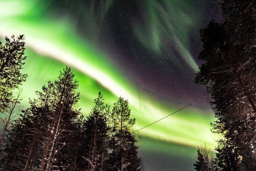 Auroras Northern Lights by Car and on Foot (photographing tour)