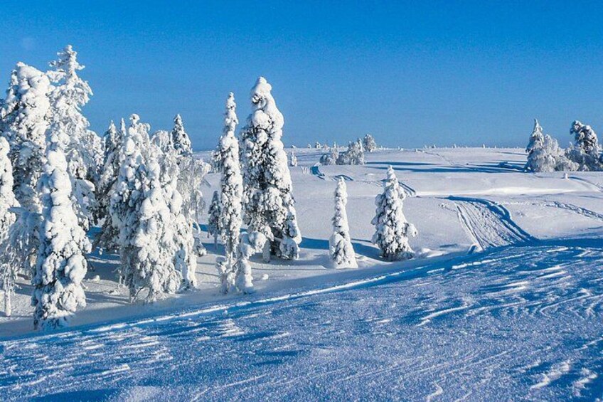 Snowmobile Safari on Tundra - Saariselkä 2
