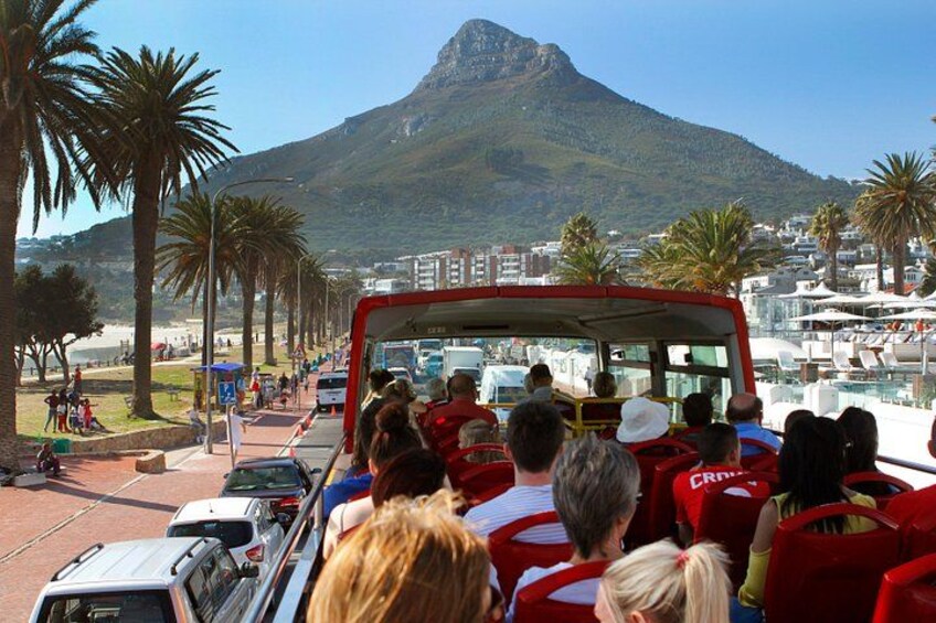 Looking at Lions Head 2